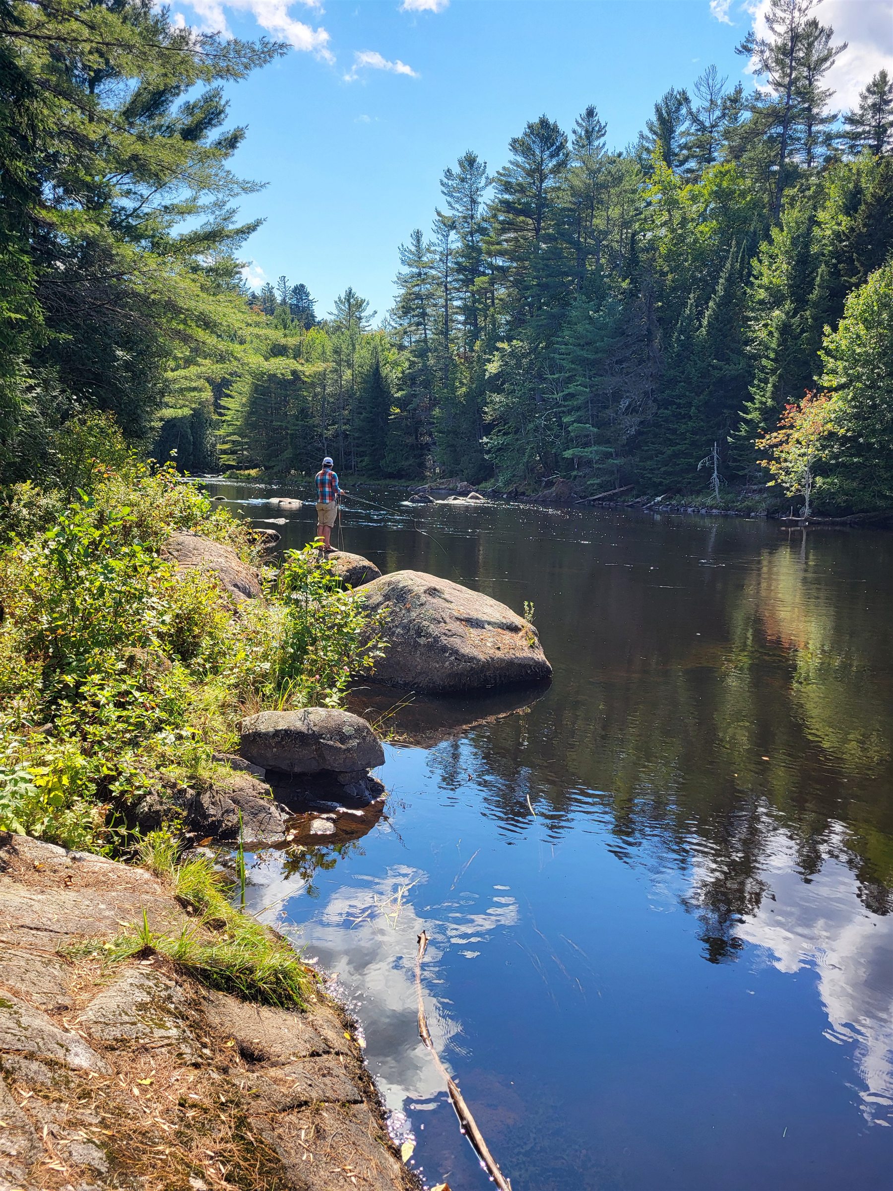 An angler fishing from a rocky bank surrounded by tall pines