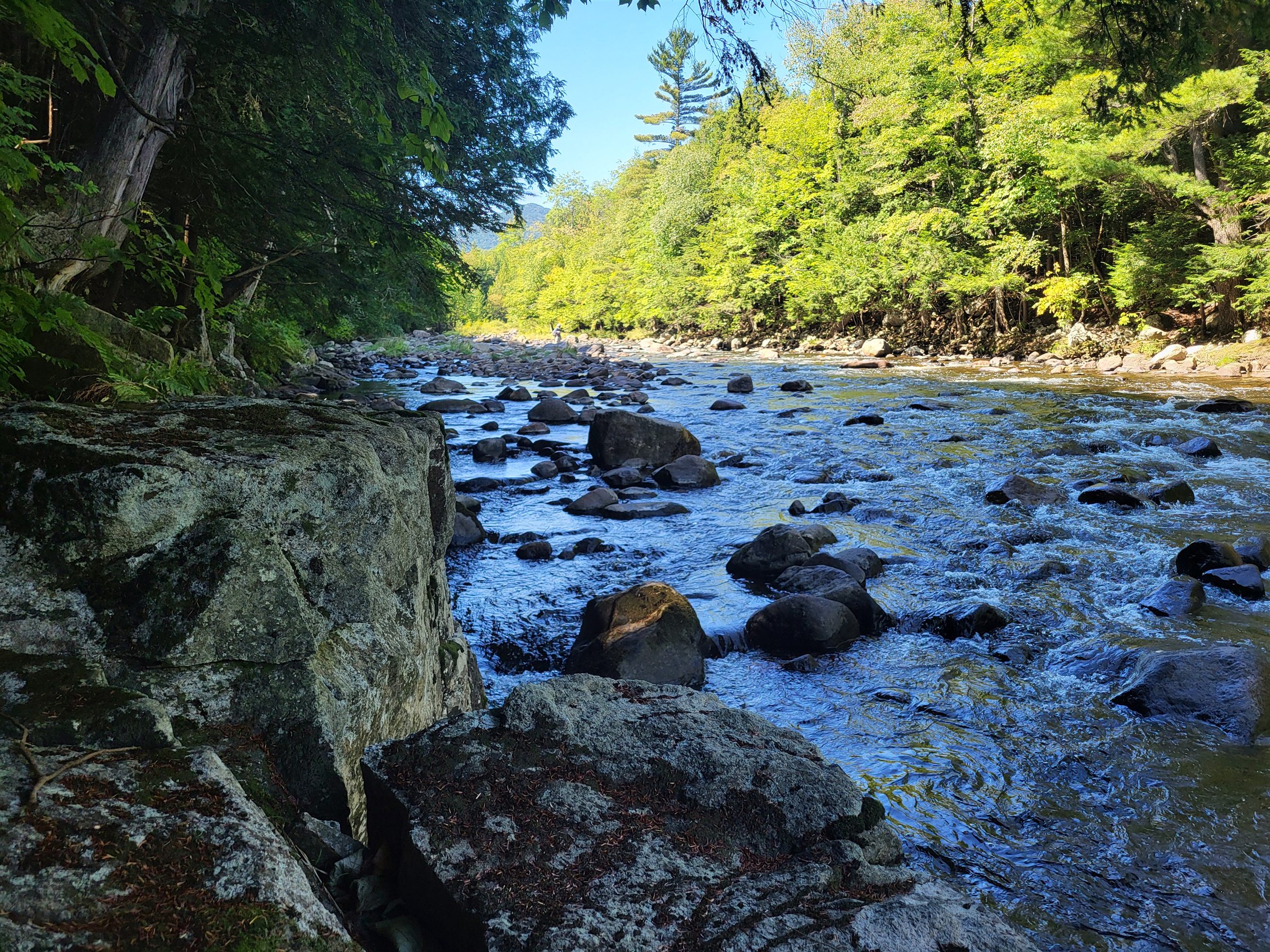 Blue water flowing over dark boulders beside a sunlit forest