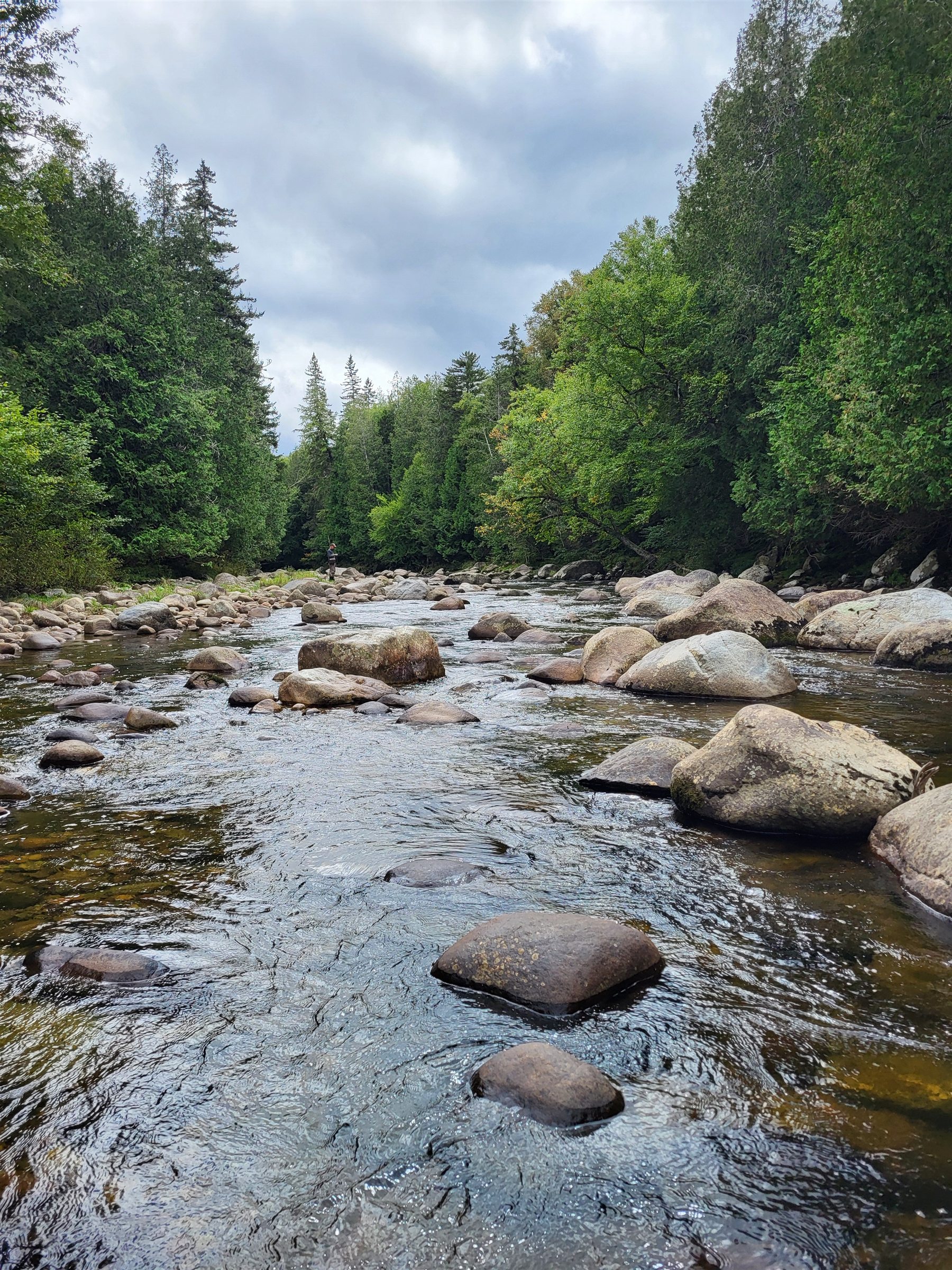 A boulder-filled river winding through dense northern forest