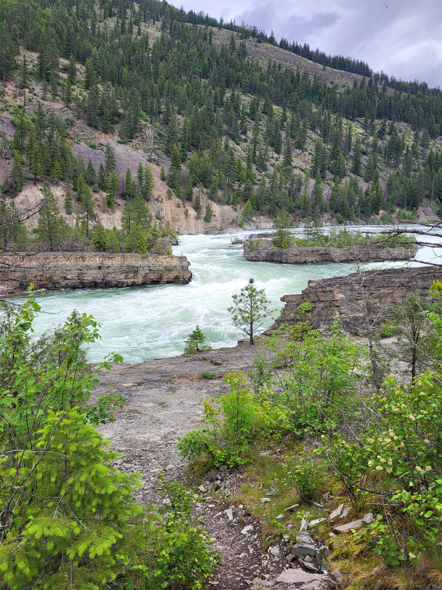 Powerful pale-green rapids running through a layered rock canyon