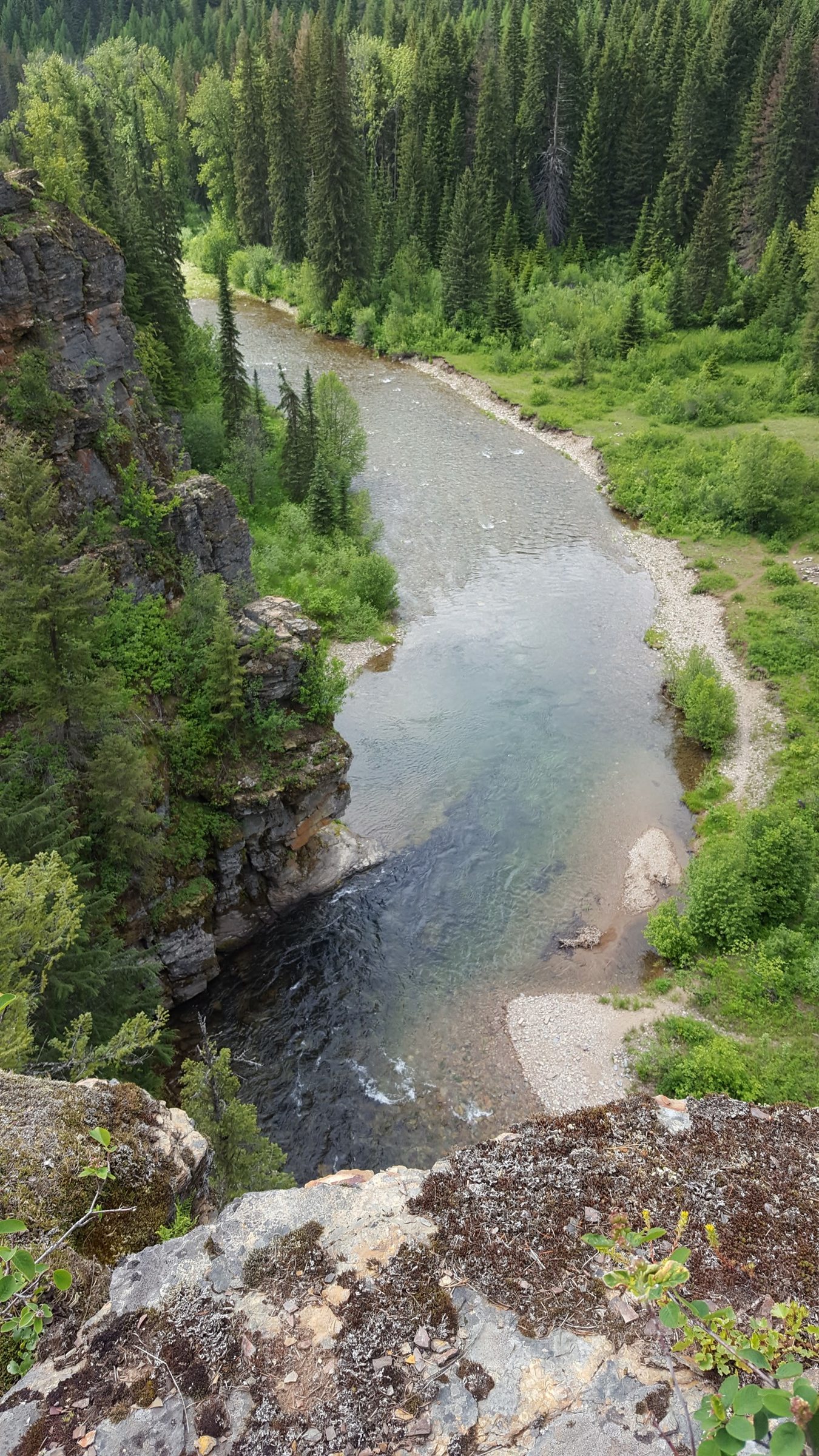 A clear river winding through a dense evergreen valley seen from a rocky overlook
