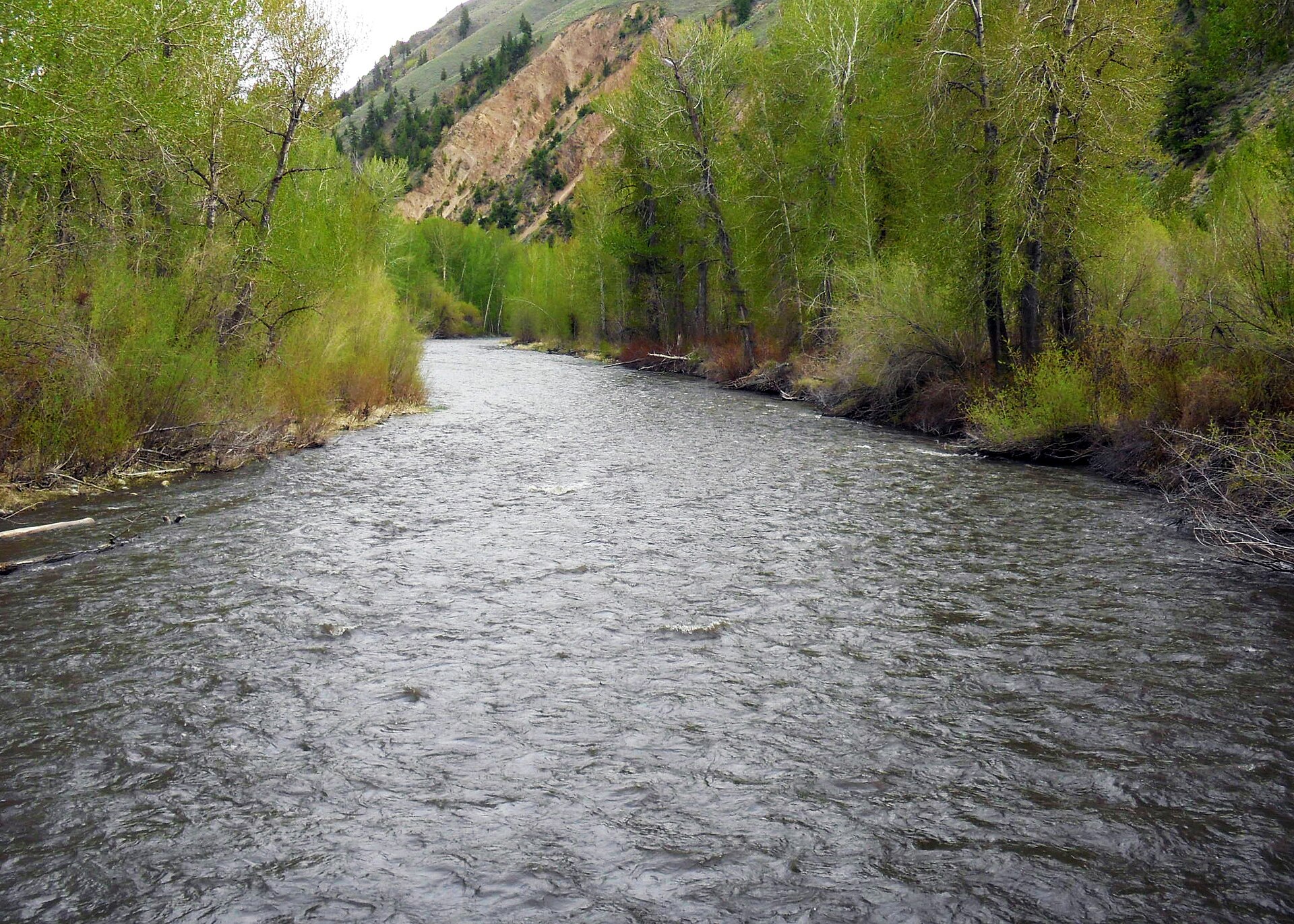 Big Wood River in Idaho