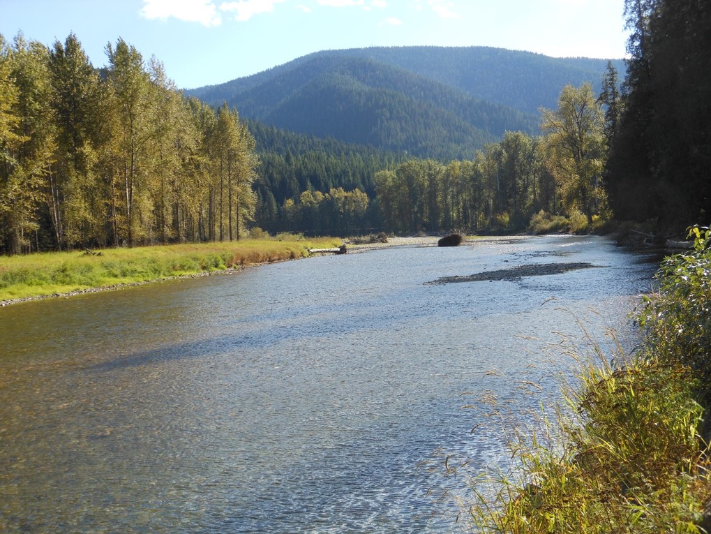 Coeur d’Alene River landscape
