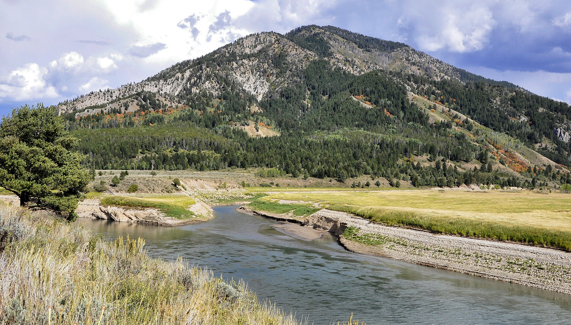 Greys River landscape