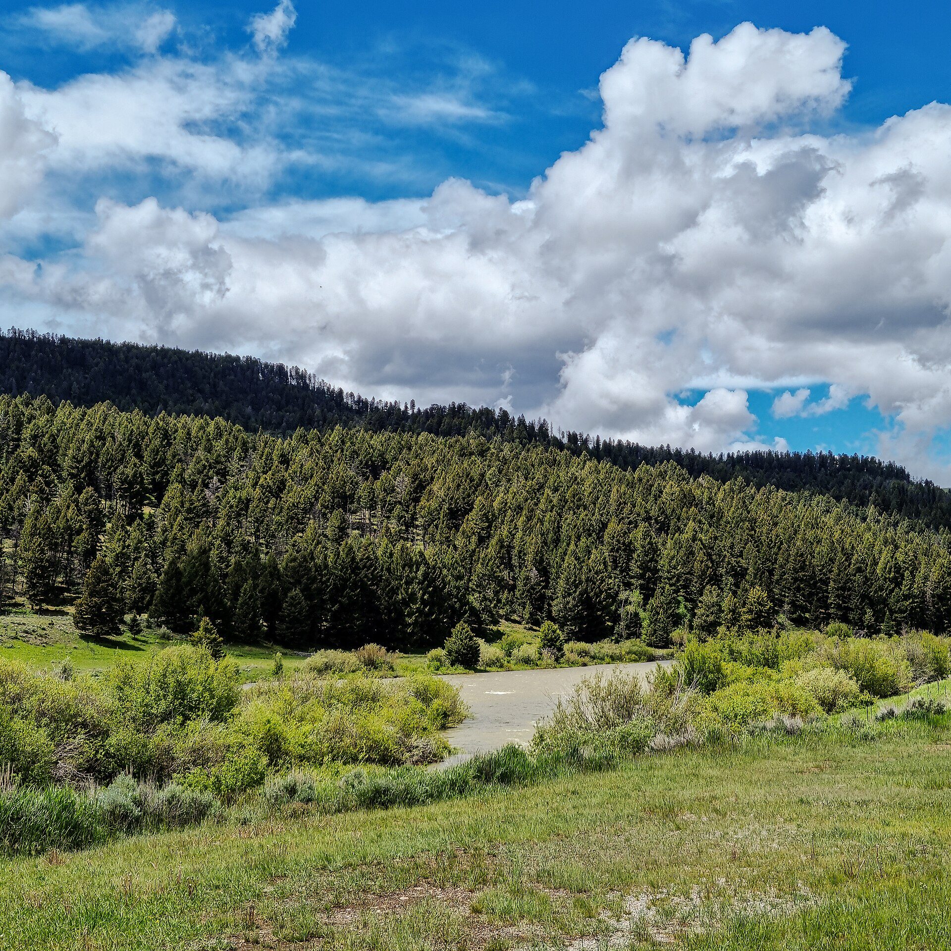 Madison River in Montana