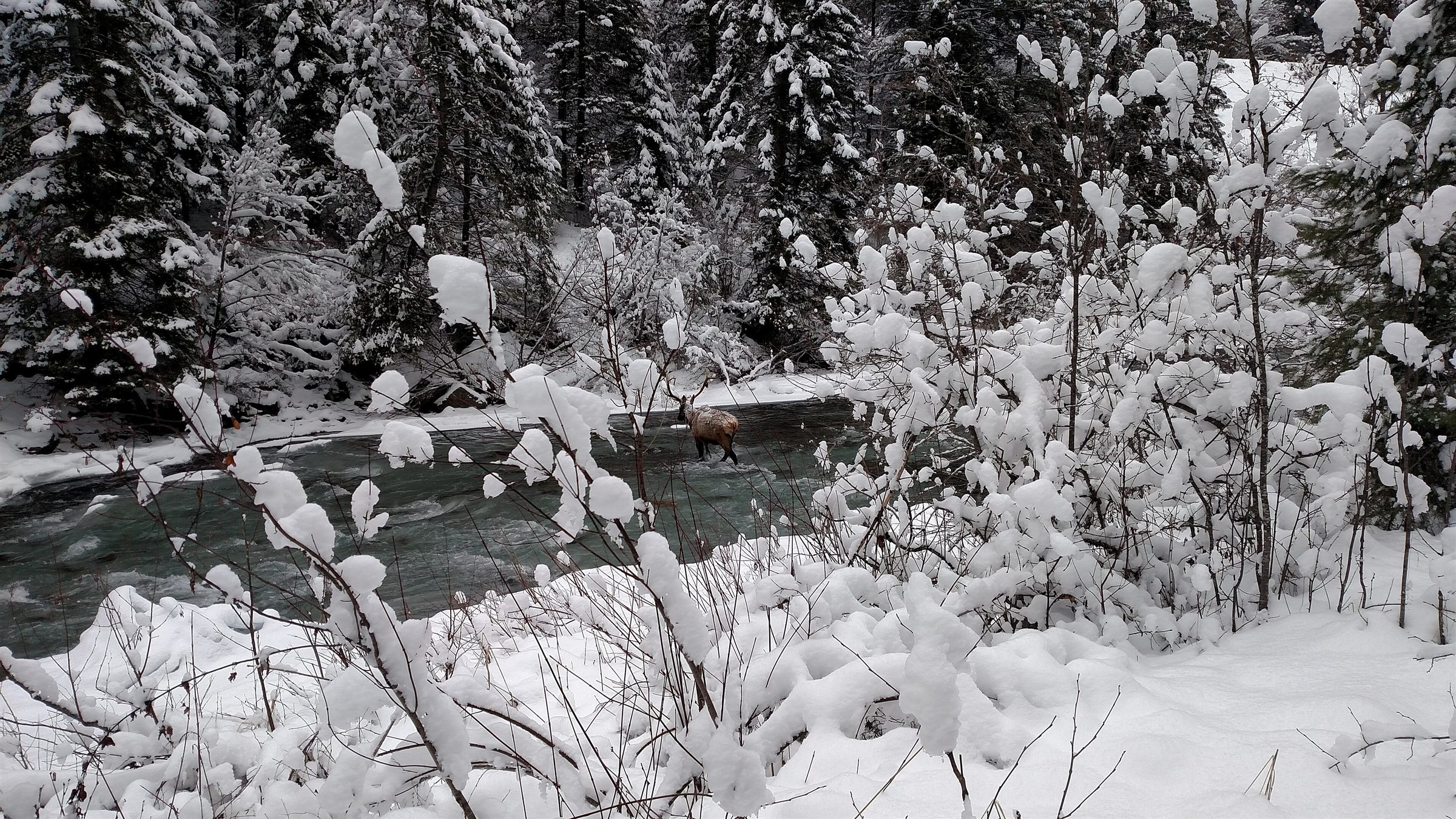 St. Joe River in Idaho