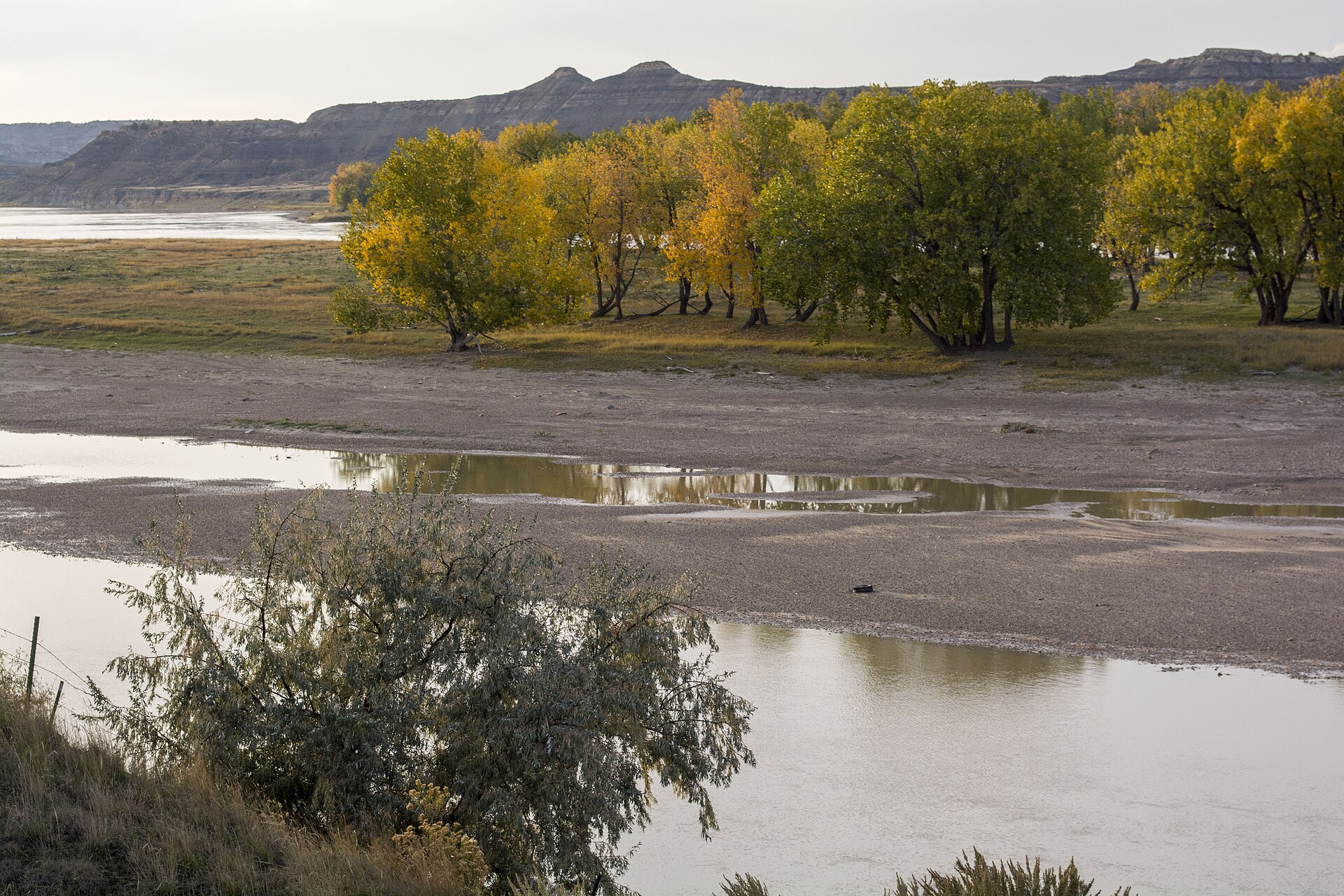 Yellowstone River in Montana